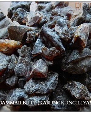 Dammar Batu (Karuppu Kunguliyam)